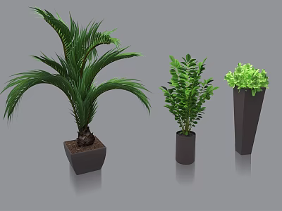 modern potted plant green plant potted plant 3d model
