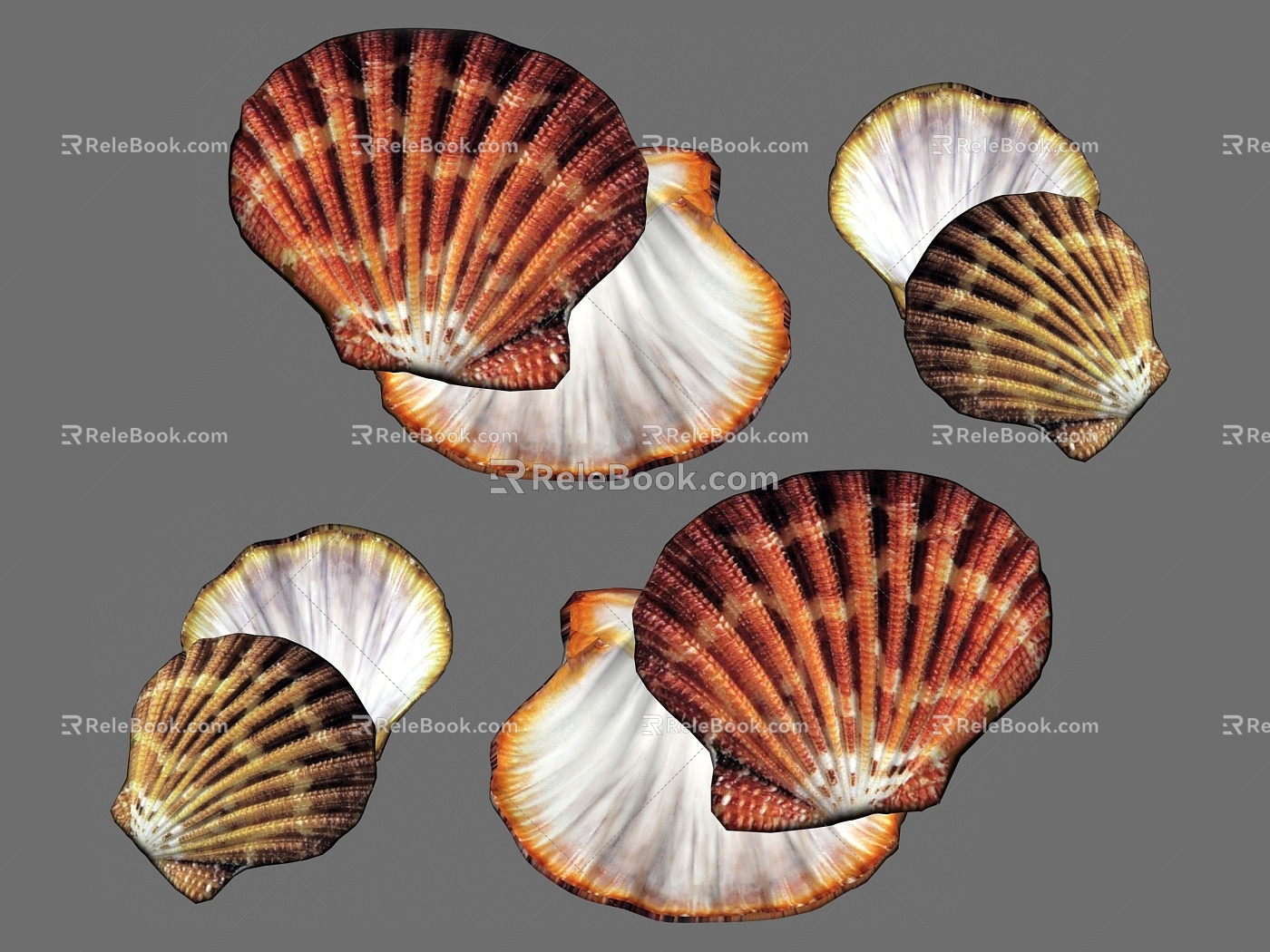 Modern Shell 3d model