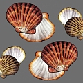 Modern Shell 3d model