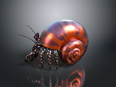 Aquatic Hermit Crab Displaying Orange Brown Striped Shell Long Antennae Spotted Legs On Shiny Background 3d model