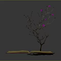 Open Book With Growing Tree Having Pink Flowers And Symbol On Pages