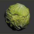 Fresh Chinese Cabbage With Green Leaves And White Stalk On Dark Background