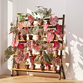Decorative Indoor Potted Plants On Wooden Shelf With Pink Leaves And Sunlight