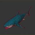 shark great white shark whale shark hammerhead shark tiger head shark man-eating shark blue shark coral red coral white coral 3d model