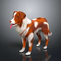 Brown and White Dog Standing with Tongue Out on Gray Background and Reflective Floor