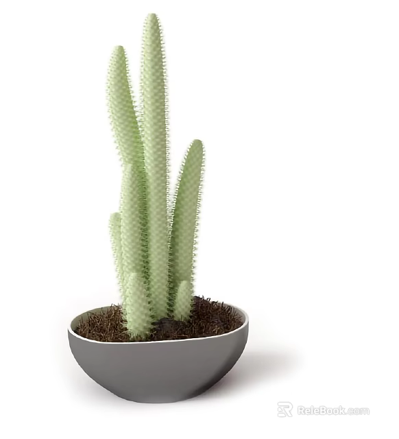Green Columnar Cactus Bonsai Potted Plant in Gray Pot with Brown Soil 3d model 
