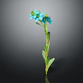 Single Blue Flower Plant With Green Stem And Leaves On Dark Background