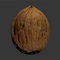 Single Natural Walnut With Brown Rough Textured Shell On White Background 3d model