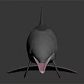 Realistic Gray Dolphin with Open Mouth on Dark Reflective Surface 3d model