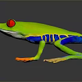 Vibrant Red-eyed Tree Frog With Green Body Blue Legs And Orange Toes