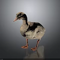 Realistic Brown Duck 3D Model Standing with Orange Feet on Dark Background