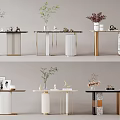 Various Modern Console Table Designs With Marble Tops Decorative Plants And Metal Frames 3d model