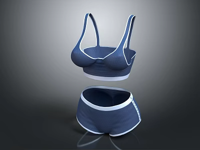 Stylish Blue Underwear Set Featuring Bra and Panties with White Trim 3d model