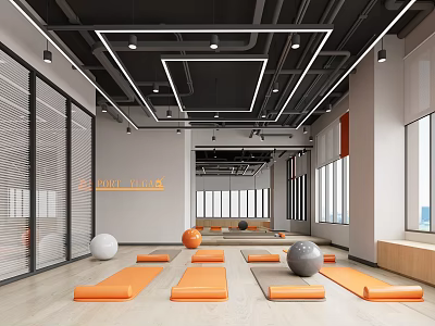 Modern Fitness Studio Interior With Yoga Mats And Exercise Balls 3d model