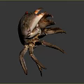 Brown Crab With Red Eyes Detailed Body Structure And Claws On Dark Background