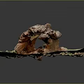Natural Tree Stump Scene Model With Green Grass And Red Dirt