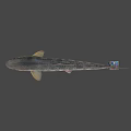 Animated Game Movie Fish Character With Rubik Cube On Gray Background