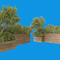 Potted Plants In Wooden Planters With Lush Green Foliage And Natural Design