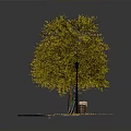 Outdoor Park Rest Area With Yellow Tree Street Lamp Bench Table Trash Bin And Fallen Leaves