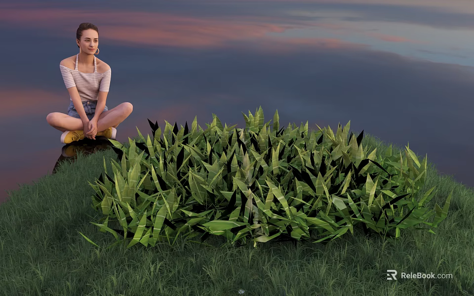 Lush Green Plants in Front of Sunset Sky with Girl Sitting by Water Surface 3d model 
