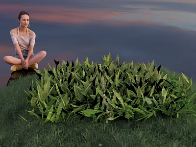 Lush Green Plants in Front of Sunset Sky with Girl Sitting by Water Surface 3d model