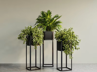 Stylish Potted Plants on Black Metal Stands Against Light Background and Gray Floor 3d model