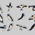 Swallows Illustration with Various Poses and Different Flying Postures on Gray Background