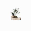 Wooden Circular Tree Planters With Green Plants And Black Surface Design