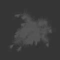 Pampas Grass Plant with Tall Stems Feathery Plumes and Vibrant Green Foliage