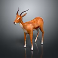 Brown Antelope with Long Curved Horns Standing on Gray Background with Reflection