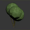 Decorative Green Plant with Two Round Canopies and Brown Trunk Isolated on Gray Background