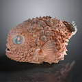 Unique Aquatic Animal Fish With Rounded Body Bumpy Texture Orange Brown Color And Blue Eye