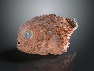 Modern fish, round fin fish, sucker, round fin fish, finch fish 3d model