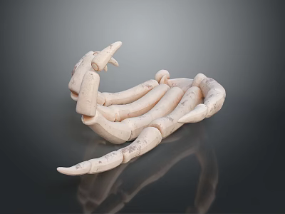 Light Colored 3D Limb Structure Model With Skeletal Claw And Dark Background Reflection 3d model