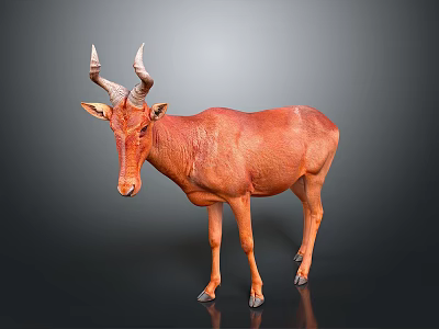 Realistic Reddish Brown Antelope With Curved Horns Standing On Dark Background 3d model