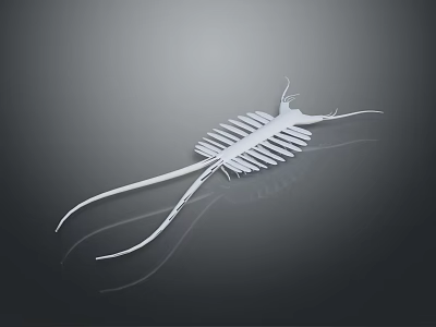 White Biomorphic Sculpture With Striped Body And Reflective Surface On Dark Background 3d model