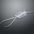 White Biomorphic Sculpture With Striped Body And Reflective Surface On Dark Background