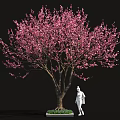 Pink Flowering Tree with White Base and Green Plants Near Human Figure Sculpture