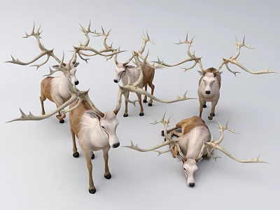 Various Reptiles With Scaly Skin On White Background Display Features 3d model