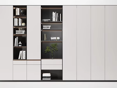 Modern Stylish Decorative Cabinet With Open Shelves Closed Cabinets Books And Green Plant 3d model