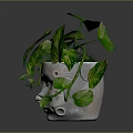 Pothos Plant With Green And Yellow Variegated Leaves In White Face Shaped Pot
