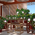 Wooden Pergola With Lotus Flowers Potted Plants And Outdoor Seating Space