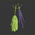 Green Leaf and Purple Lavender Plants Hanging with Gold Hooks on Gray Background