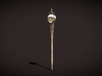 Sports Equipment With Skull Adorned Top And Long Pole For Outdoor Athletic Training 3d model