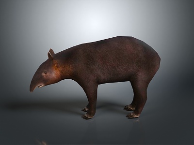 tapir animal wild animal plastic toy tapir land animal game animal cartoon character game character model