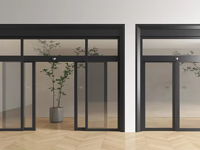 Modern Interior Glass Double Doors With Black Frame Wooden Floor And Green Plant 3d model
