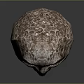 Anthropomorphic Lunar Creature Featuring Surface Texture Glowing Yellow Red Eyes And Grinning Teeth