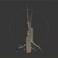 Decorative Natural Dried Plant Branches With Various Shapes And Sizes On White Background