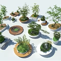 Creative Tree Pit Designs With Circular And Square Shapes Wooden Borders And Green Plants