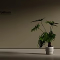 Potted Plant with Green Lush Leaves in White Ceramic Pot against Beige Wall by Poliform